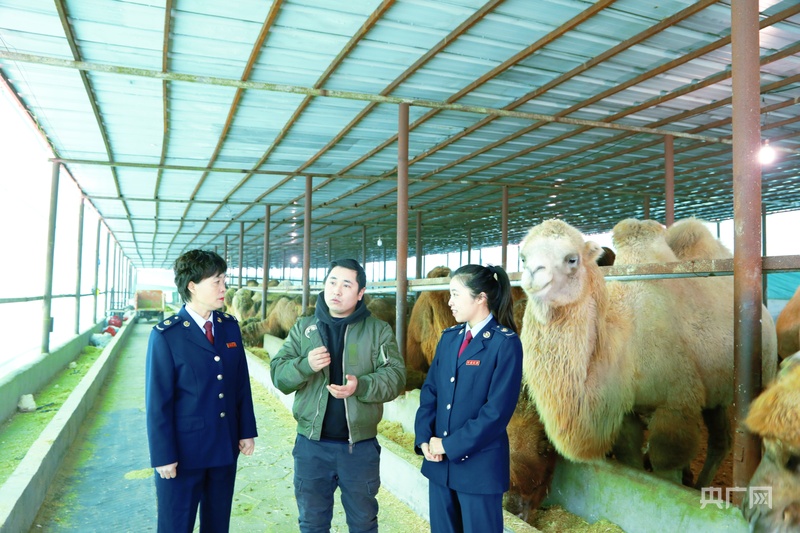 微信图片_2026-04-10_131237_124.jpg